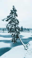 Winter in the Harz mountains