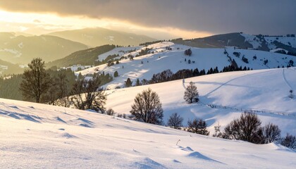Fototapeta premium winter landscape with trees in the foreground and hills covered by snow