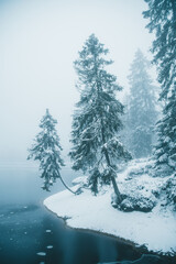 Winter in the Harz mountains