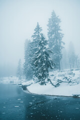 Winter in the Harz mountains