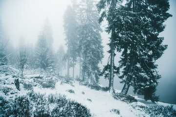 Winter in the Harz mountains