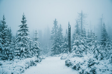 Winter in the Harz mountains
