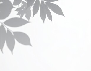 Light gray leaf shadows on a bright white background