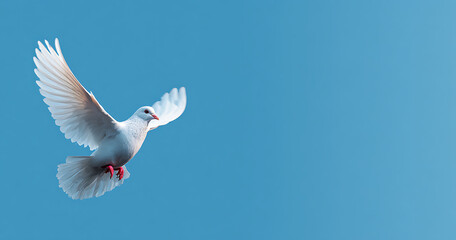 Minimalist White Dove of Peace on Light Blue Background