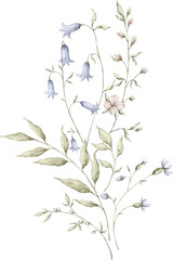 Watercolor delicate bouquet with wildflowers, plants, leaves. Floral, botanical isolated elements. Elegant ethereal nature, floral arrangement