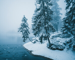 Winter in the Harz mountains