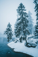 Winter in the Harz mountains