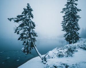 Winter in the Harz mountains