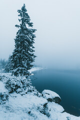 Winter in the Harz mountains