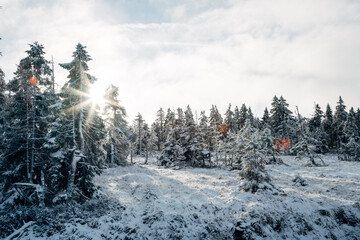 Winter in the Harz mountains