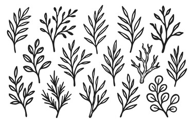Leaf branch doodle collection isolated on transparent background, generative ai