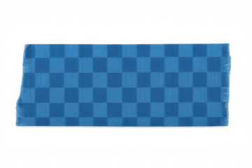 Torn blue checkered fabric fragment, transparent backdrop highlighting textile texture and frayed edges