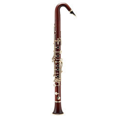 Bass Clarinet: A Detailed View of a Richly Colored Woodwind Instrument