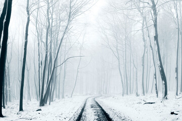 Winter in the Harz mountains