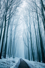 Winter in the Harz mountains