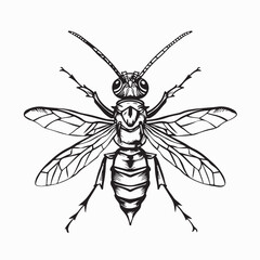Realistic wasp close-up vector illustration on white background