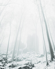 Winter in the Harz mountains