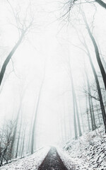 Winter in the Harz mountains