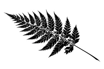 Naklejka premium Black And White Fern Leaf Silhouette On Transparent Background