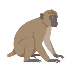 Fototapeta premium Illustration of a sitting monkey on a – flat illustration