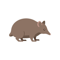 Obraz premium Cartoon illustration of a brown bandicoot on a – flat illustration
