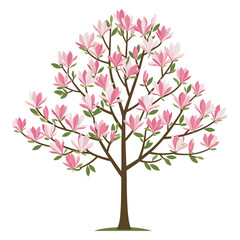 Fototapeta premium Blooming magnolia tree with pink flowers and green leaves – flat illustration
