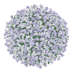 Obraz premium Dense circle of lavender and white flowers – flat illustration