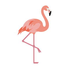 Obraz premium Illustration of a pink flamingo standing on one leg with – flat illustration