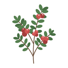 Illustration of a cranberry plant with red berries and green leaves &ndash; flat illustration