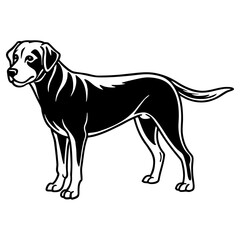 Black and white illustration of a labrador dog standing