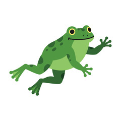 Fototapeta premium Colorful cartoon green frog jumping with spots – flat illustration