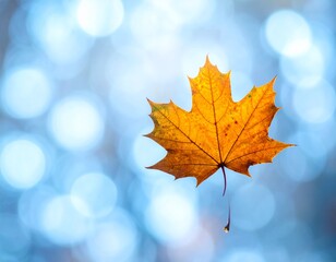 Loopable Autumn Leaf Falling Cinemagraph Background