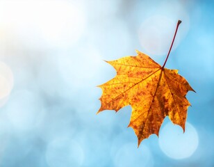 Loopable Autumn Leaf Falling Cinemagraph Background