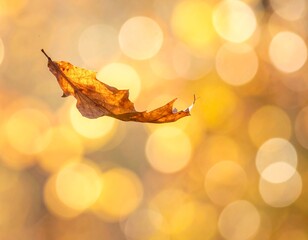 Loopable Autumn Leaf Falling Cinemagraph Background