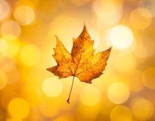 Loopable Autumn Leaf Falling Cinemagraph Background