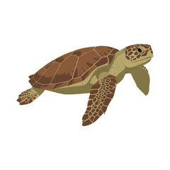 Naklejka premium Sea turtle illustration with detailed shell and flippers – flat illustration
