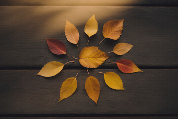 Vibrant Golden Autumn Leaves in Sunlight