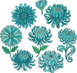 Elegant Turquoise Chrysanthemum Flower Set Vector Floral Illustration for Design Projects