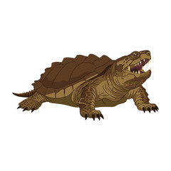 Obraz premium Snapping turtle illustration with open mouth and detailed shell – flat illustration