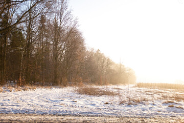 Winter in the Harz mountains