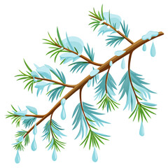 Fresh Pine Branch with Dew Drops Vector Illustration”