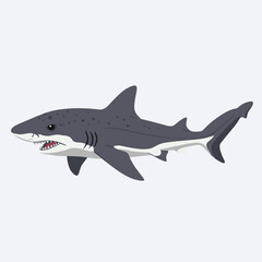 Obraz premium Detailed graphic of a great white shark in profile view – flat illustration