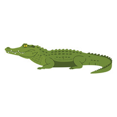 Obraz premium Green crocodile illustration with yellow eyes – flat illustration