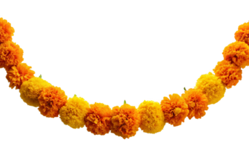 Vibrant marigold flower garland isolated for decorative and festive applications transparent background