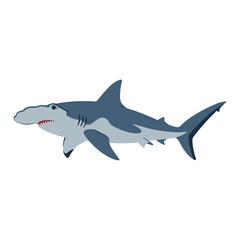 Obraz premium Hammerhead shark illustration – flat illustration