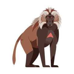 Obraz premium Mandrill illustration with distinctive red and blue facial markings – flat illustration