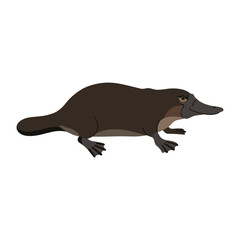 Fototapeta premium Cartoon platypus illustration in profile view – flat illustration