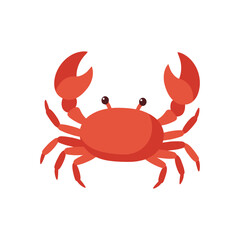 Red cartoon crab illustration – flat illustration