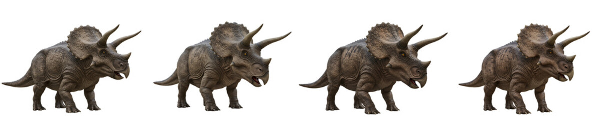 Obraz premium Triceratops Dinosaur Prehistoric Animal Isolated Transparent Background