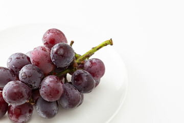 皿に乗った葡萄　白バック